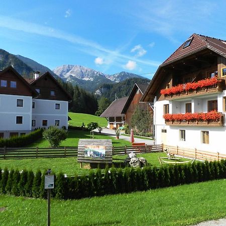 Baby- Und Kinderbauernhof Riegler Rossleithen Exteriér fotografie