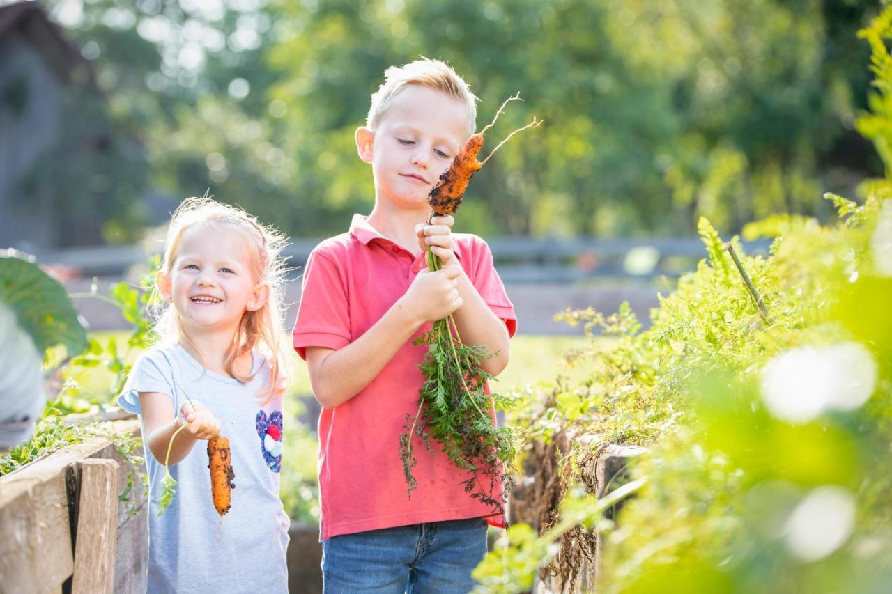 Baby- Und Kinderbauernhof Riegler Rossleithen Exteriér fotografie
