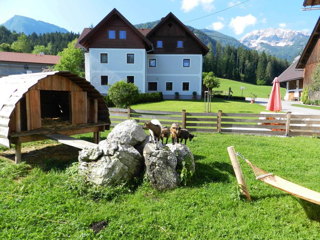 Baby- Und Kinderbauernhof Riegler Rossleithen Exteriér fotografie