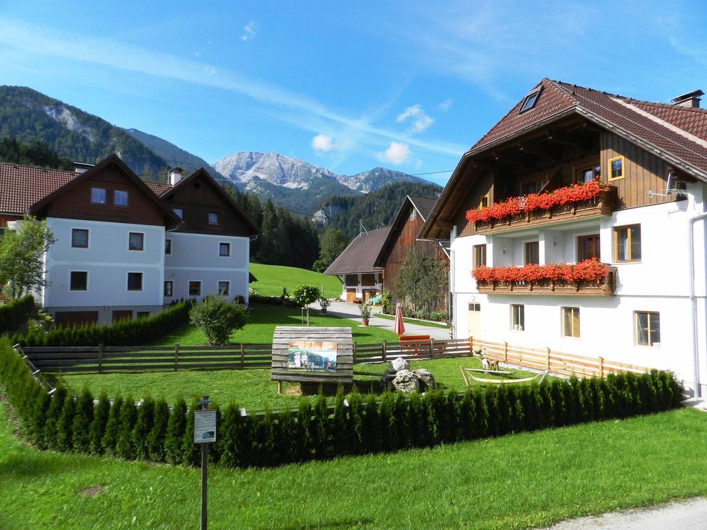 Baby- Und Kinderbauernhof Riegler Rossleithen Exteriér fotografie