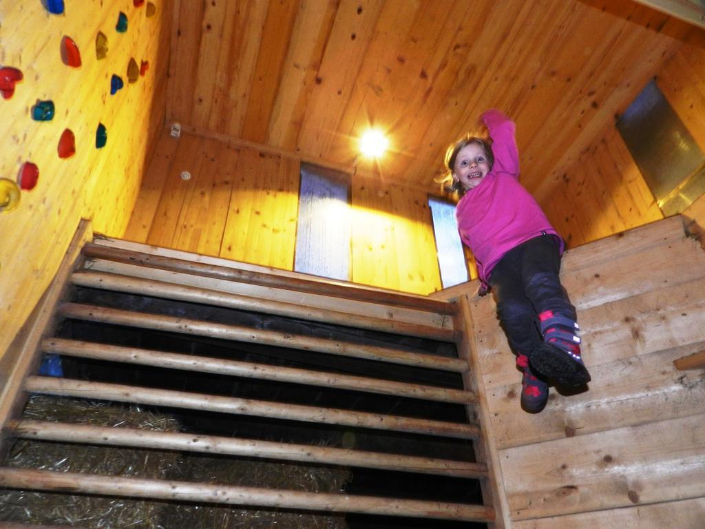 Baby- Und Kinderbauernhof Riegler Rossleithen Exteriér fotografie
