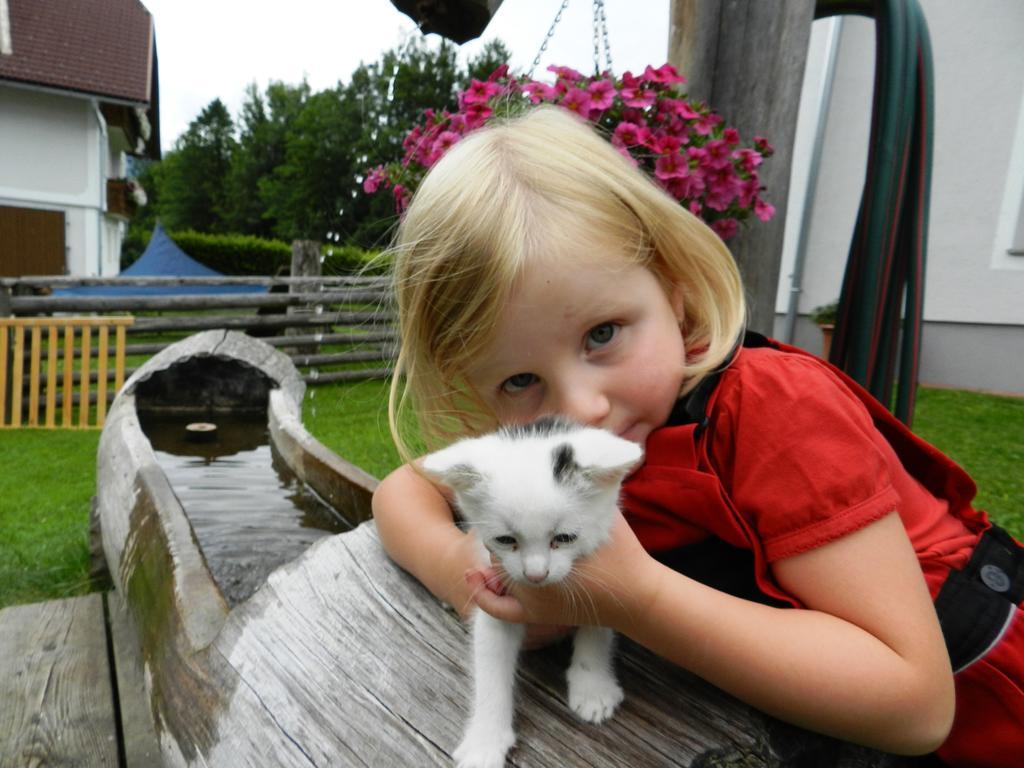 Baby- Und Kinderbauernhof Riegler Rossleithen Exteriér fotografie